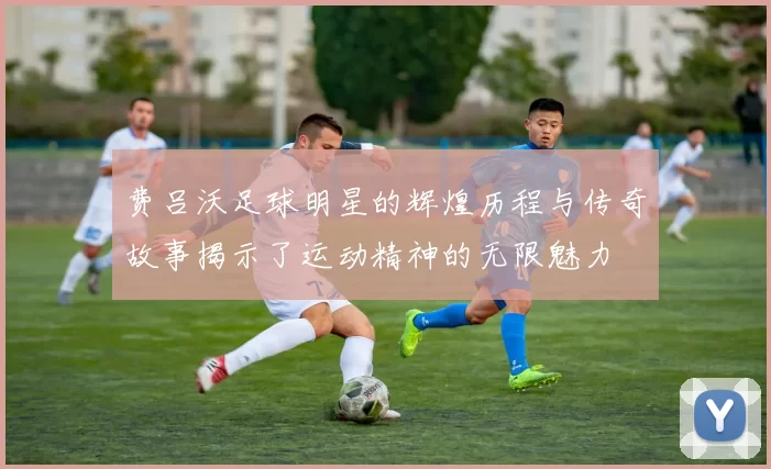 费吕沃足球明星的辉煌历程与传奇故事揭示了运动精神的无限魅力