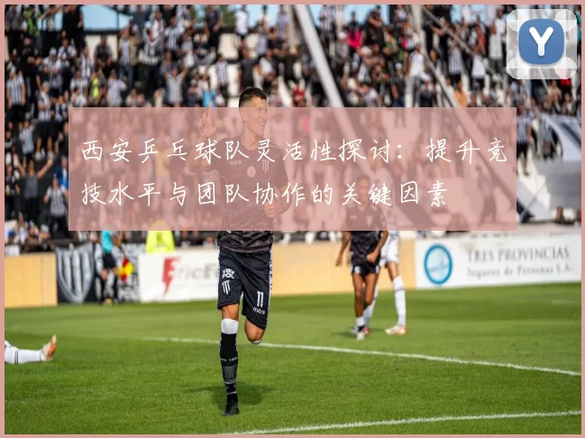 西安乒乓球队灵活性探讨：提升竞技水平与团队协作的关键因素