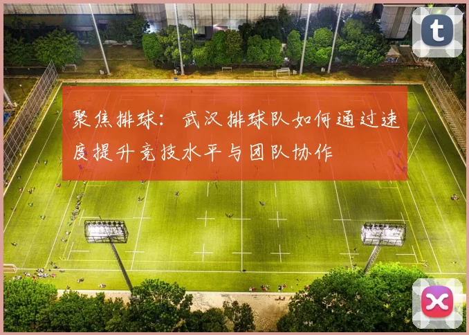 聚焦排球：武汉排球队如何通过速度提升竞技水平与团队协作